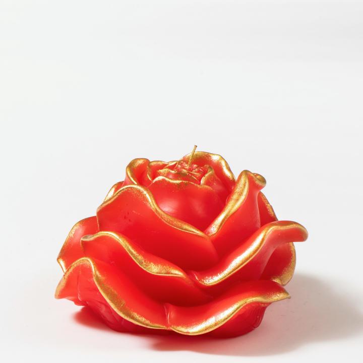 Large sponged rose candle - STYLNOVE line